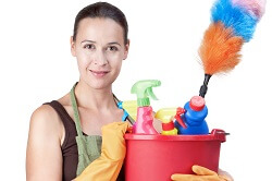 maidavale house cleaning services